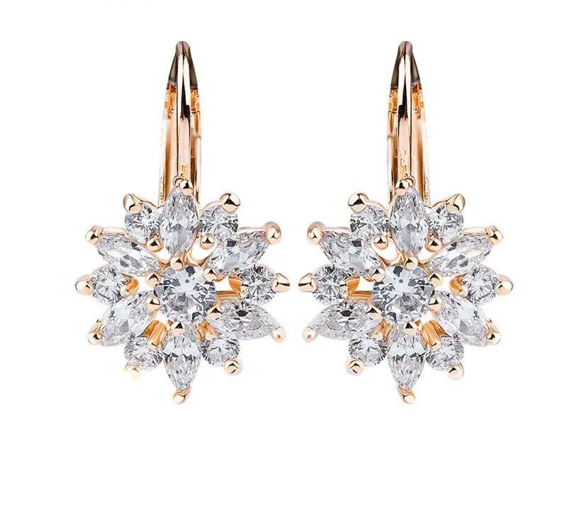 925 Sterling Silver Zircon Stud Earrings - TEA LU SHOP