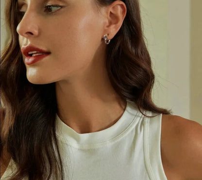 Exquisite Double Snake Ear Buckles