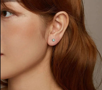 925 Sterling Silver Round Natural Amazonite Earrings